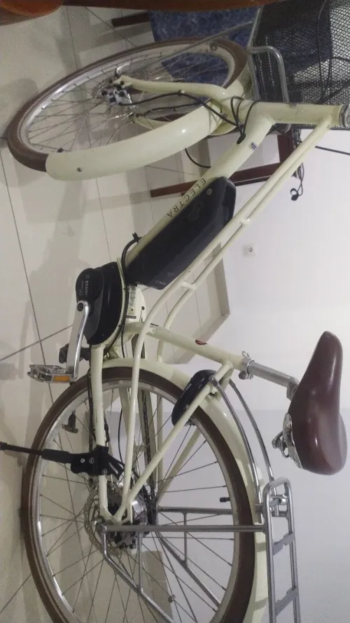 Vélo électrique Electra Go