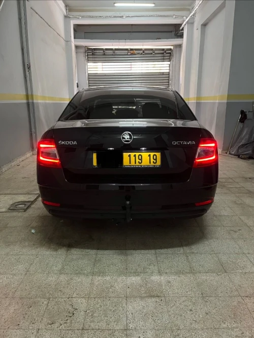 Skoda Octavia 2019 Business