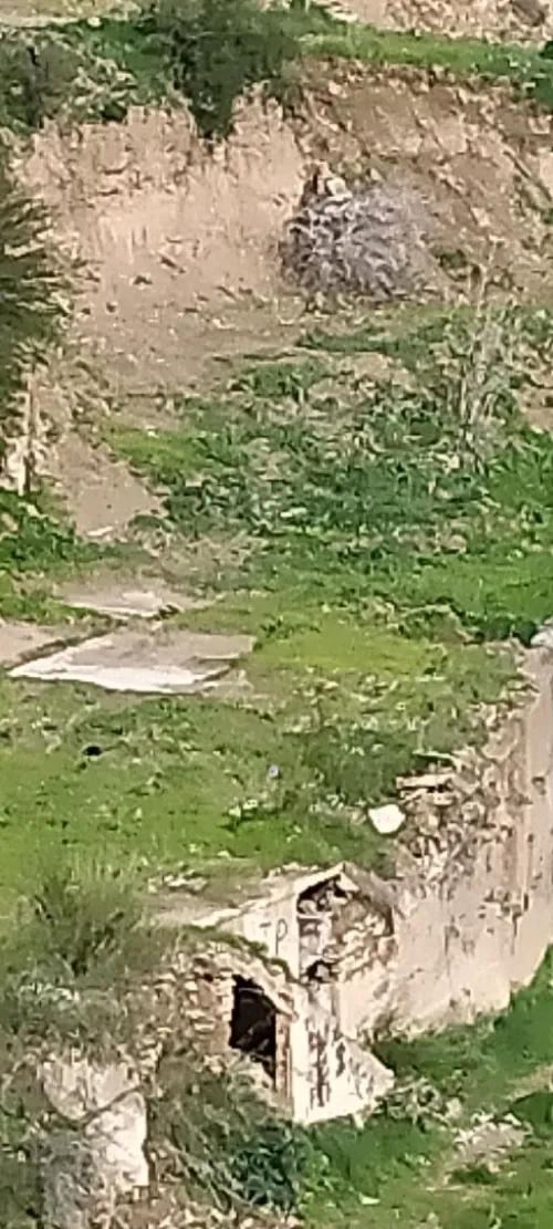 Vente Terrain Alger Bouzareah