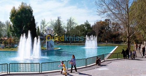  fontaine Jet d'eau pro 