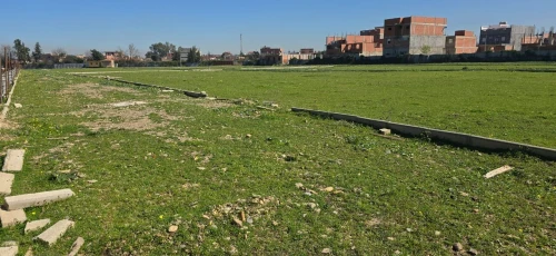 Vente Terrain Blida Ben khellil