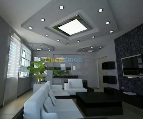  faux plafond et mur placoplâtre BA13 