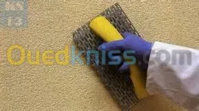  faux plafond et mur placoplâtre BA13 