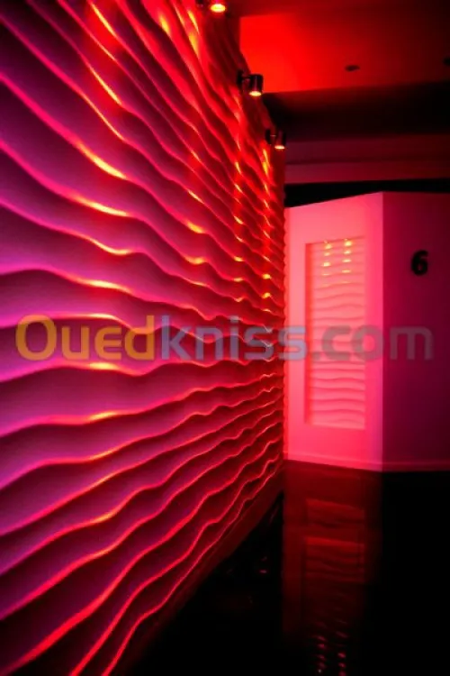  faux plafond et mur placoplâtre BA13 