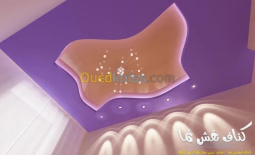  faux plafond et mur placoplâtre BA13 