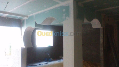  faux plafond et mur placoplâtre BA13 