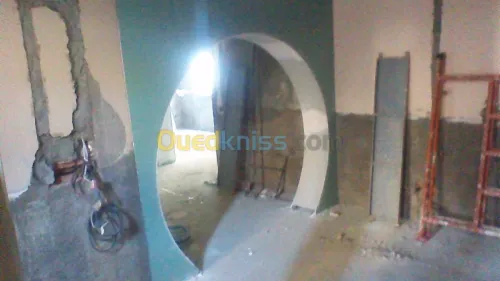  faux plafond et mur placoplâtre BA13 