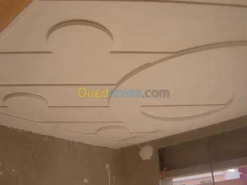  faux plafond et mur placoplâtre BA13 