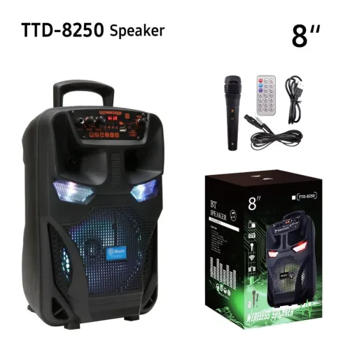 Haut parleur sans-fil Bluetooth 8 pouces TTD-8250 Rechargeable avec Microphone FM Radio Micro SD USB