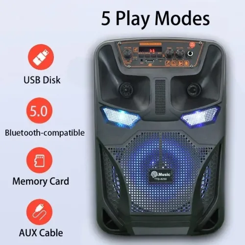 Haut parleur sans-fil Bluetooth 8 pouces TTD-8250 Rechargeable avec Microphone FM Radio Micro SD USB