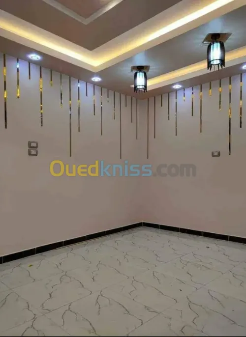 وتركيب الأسقف البلاستيكية PEINTURE دهن