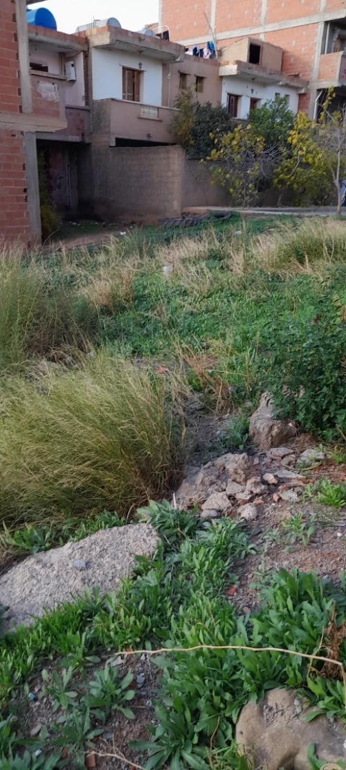Vente Terrain Bouira El asnam