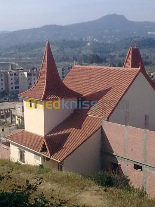 Charpente en bois Toiture et Tuile 