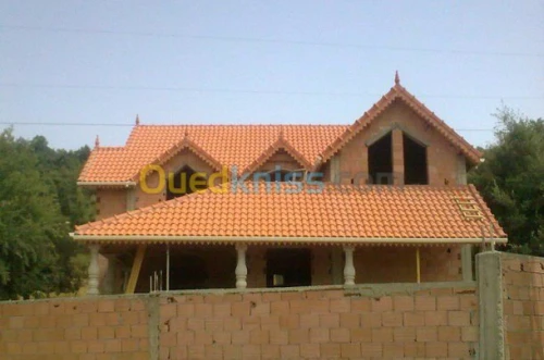 Charpente en bois Toiture et Tuile 