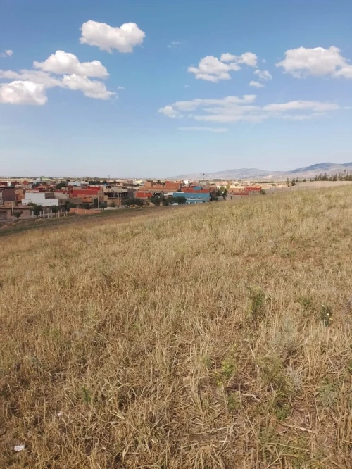 Vente Terrain Aïn Témouchent Oued sabah