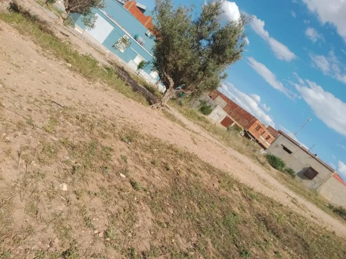 Vente Terrain Aïn Témouchent Oued sabah