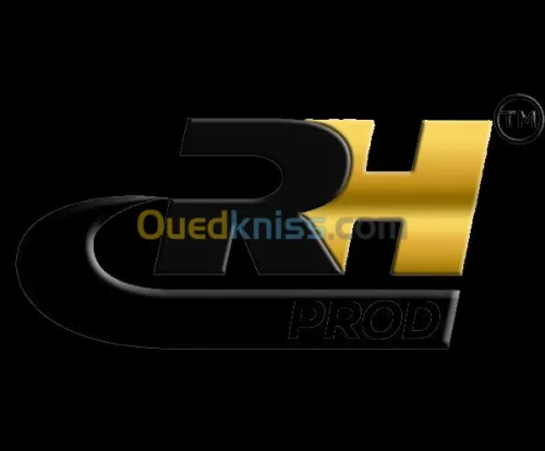 Design web professionnel 