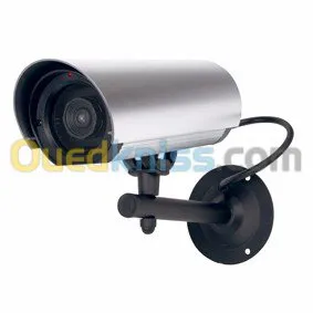 Sécurité électronique 