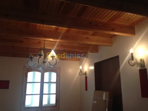 tout travaux d amenagement decorative