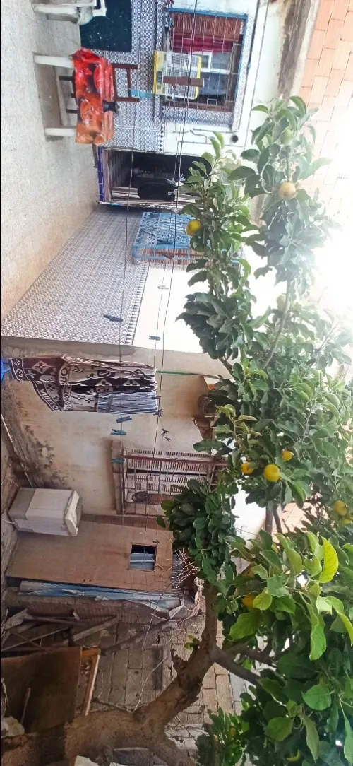 Vente Villa Oran Es senia