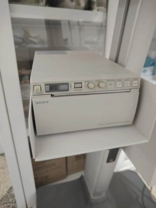 Echographe
