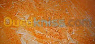 peinture industrielle et batiment 