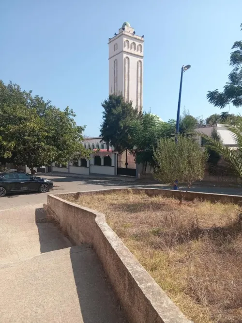 Vente Appartement F5 Alger Hammamet