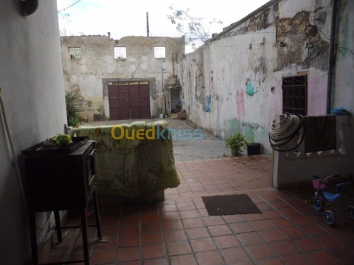 Vente Villa Ain temouchent El malah