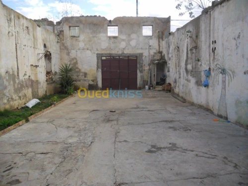 Vente Villa Ain temouchent El malah
