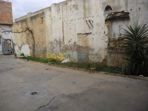 Vente Villa Ain temouchent El malah