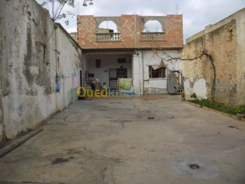 Vente Villa Ain temouchent El malah