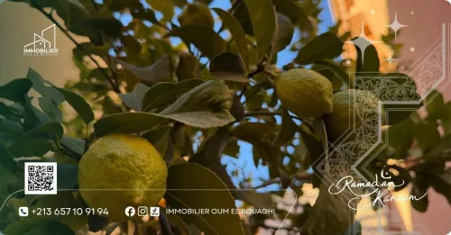 Vente Villa Oum El Bouaghi Oum el bouaghi