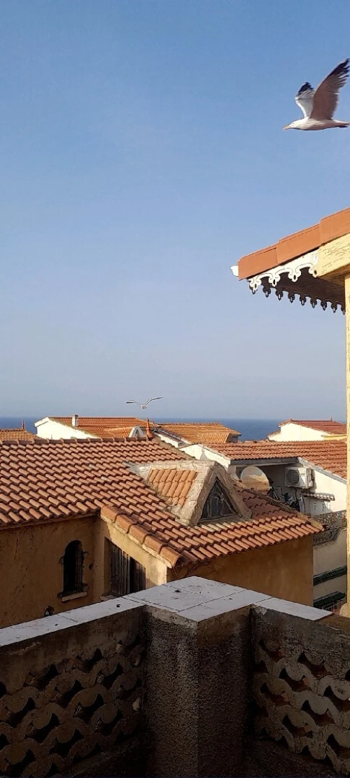 Vente Villa Alger El marsa