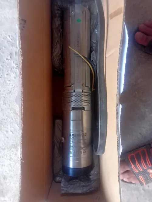 pompe immergée solaire lorentz 