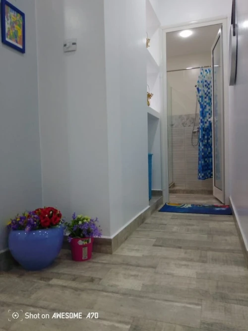 Location Appartement F3 Oran Oran
