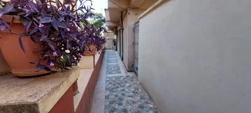 Location Local Alger Birkhadem
