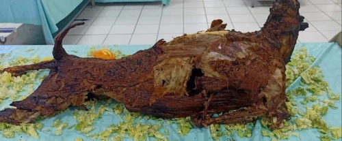 Traiteur spécialité machwi d agneau 