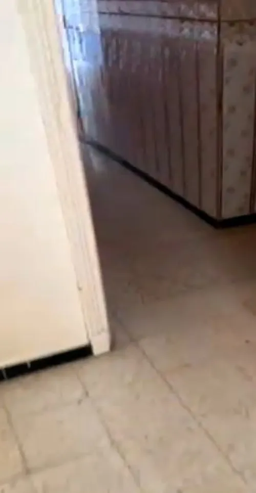 Vente Appartement F3 Alger Alger centre