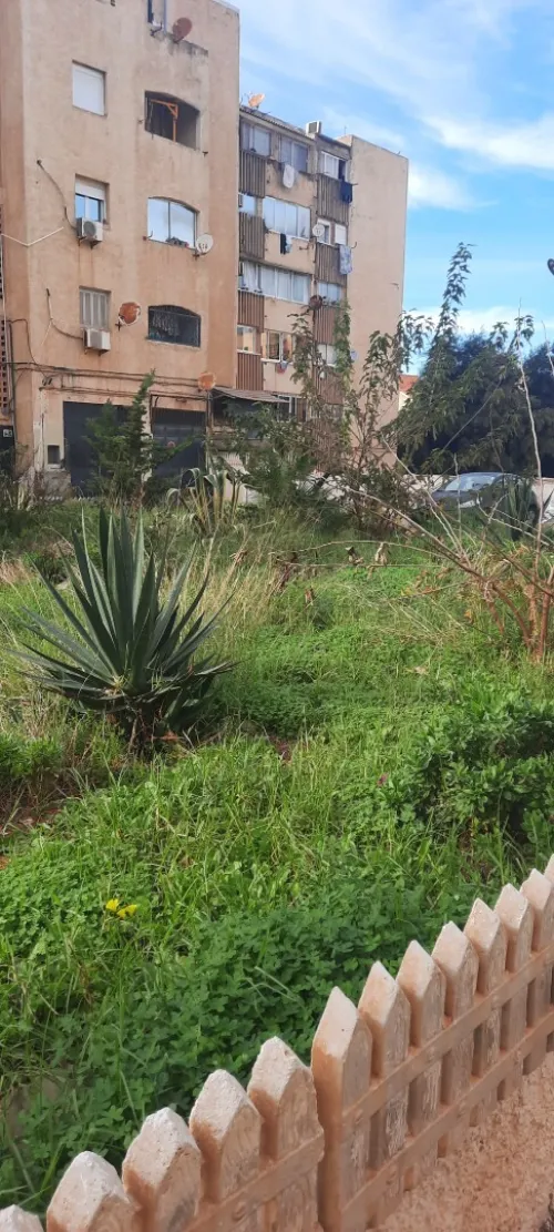 Vente Appartement F3 Alger Hammamet