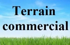 Vente Terrain Alger Bouzareah