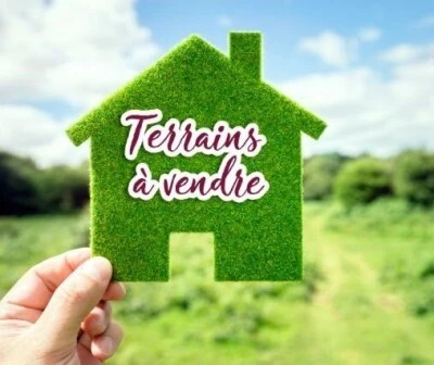 Vente Terrain Alger Cheraga