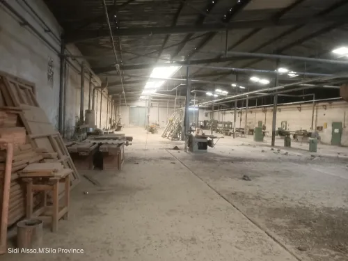 Vente Hangar M'Sila Sidi aissa