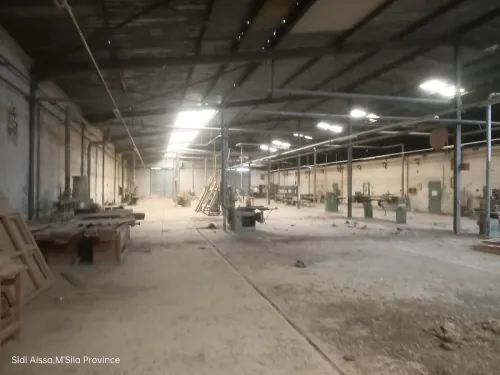 Vente Hangar M'Sila Sidi aissa
