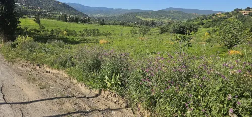 Vente Terrain Bouira Djebahia