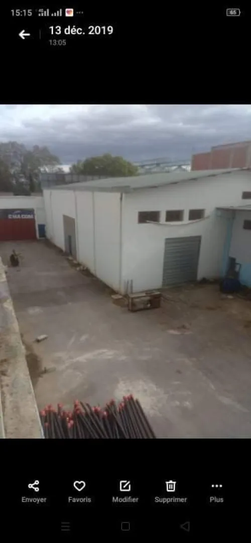 Location Hangar - Usine Guelma Belkheir