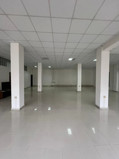 Location Local Alger Alger centre