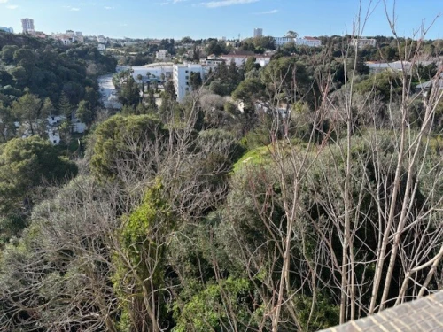 Vente Villa Alger El biar