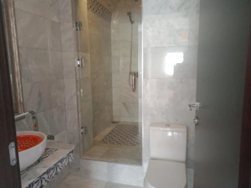 Location Appartement F3 Alger Sidi mhamed