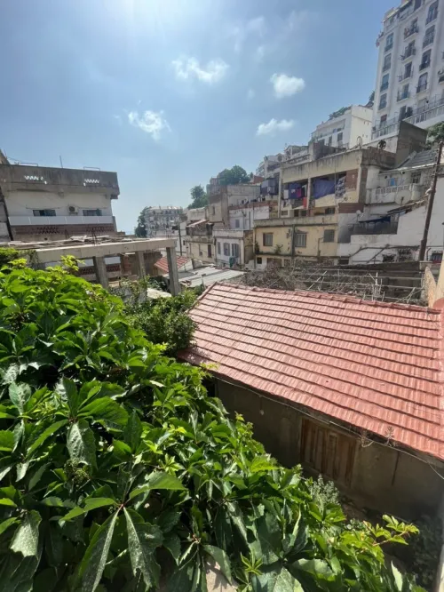 Vente Terrain Alger El mouradia