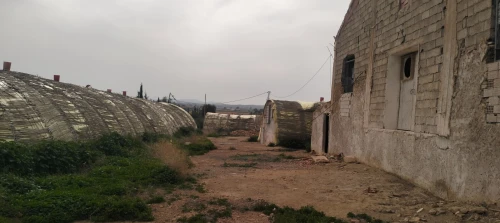 Vente Terrain Agricole Saïda Youb